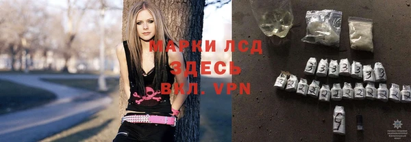 винт Алзамай