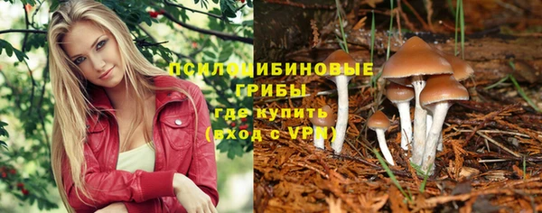 героин Абаза