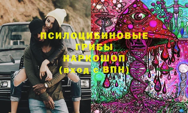 винт Алзамай