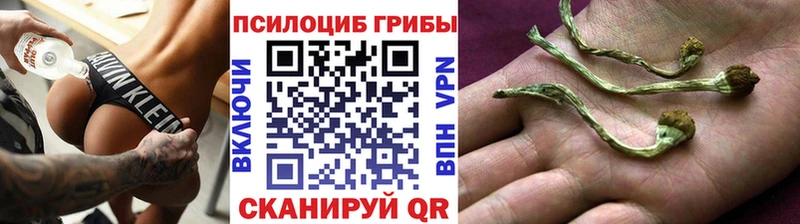 Галлюциногенные грибы мухоморы  ссылка на мегу рабочий сайт  Шенкурск 
